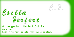 csilla herfert business card